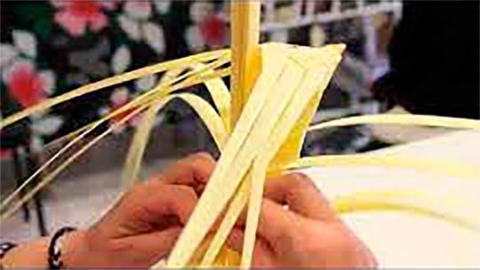 trenzado de una palmera blanca 